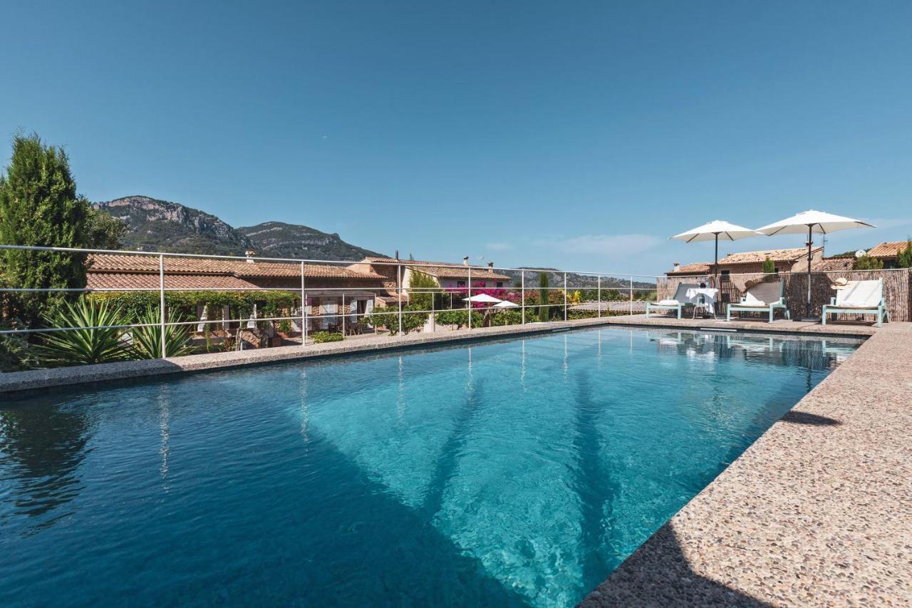 Nou * Sóller